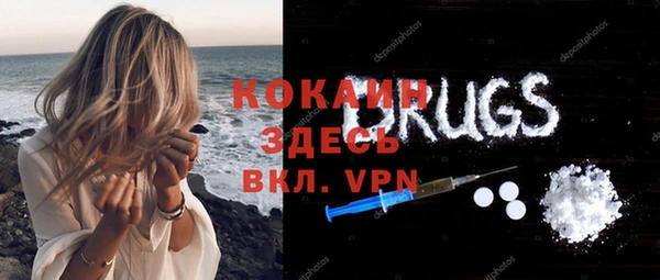 крисы Алексин