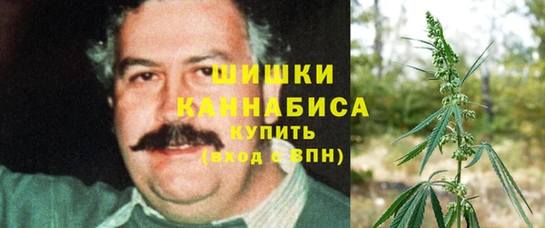 тгк Семилуки