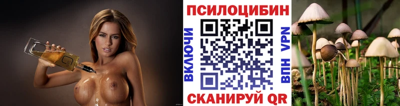 гидра ТОР Зверево Галлюциногенные грибы мухоморы